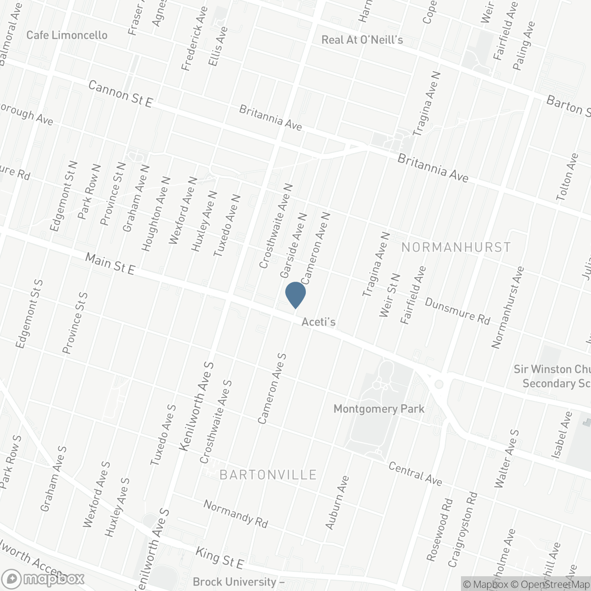 21 CAMERON Avenue N, Hamilton, Ontario L8H 4Y9